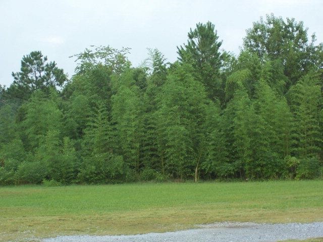 901 Hyatt Street Gaffney, SC 29341 - Photo 4 of 4