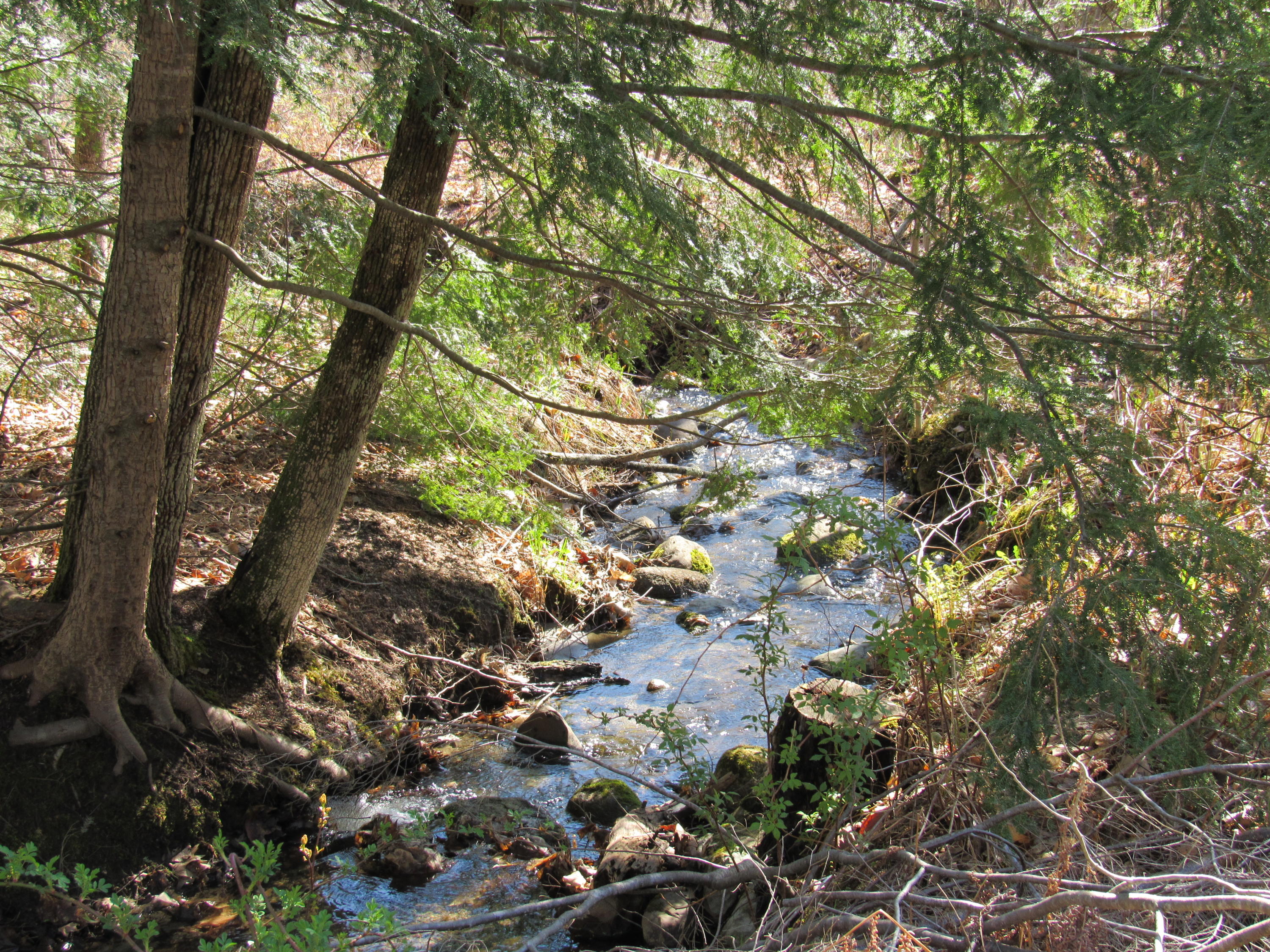 Tbd Tbd North Rd Mount Mount Vernon, ME 04352 - Photo 2 of 18 IMG_0947