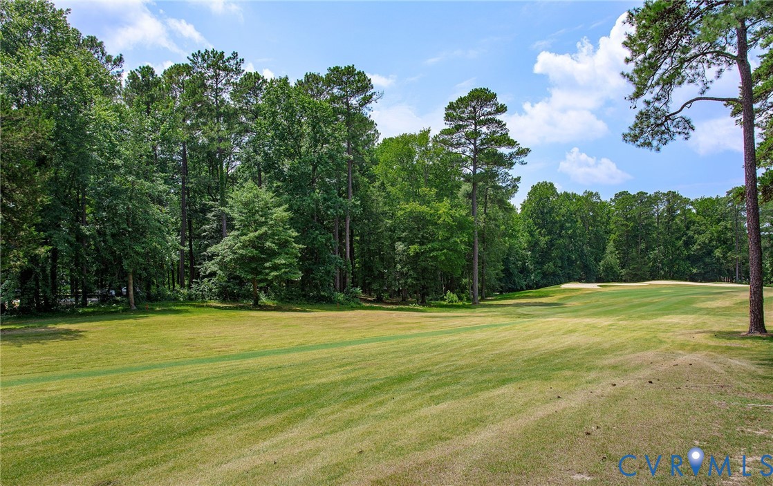 14311 Cove Ridge Terrace Midlothian, VA 23112 - Photo 36 of 44