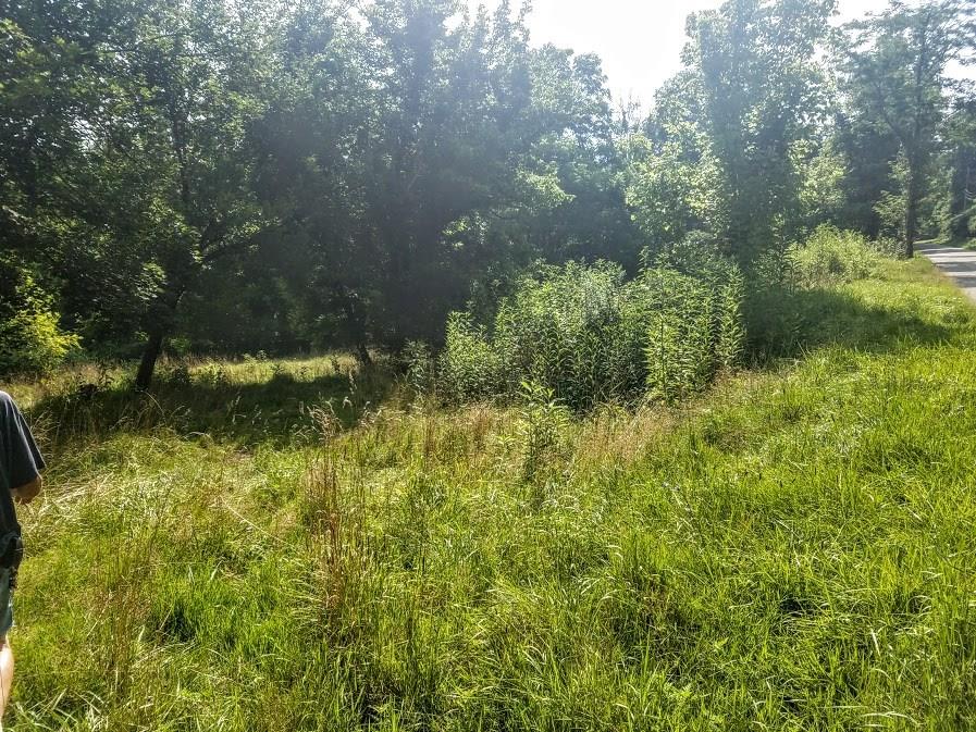 655 Braznell Road Grindstone, PA 15442 - Photo 10 of 12
