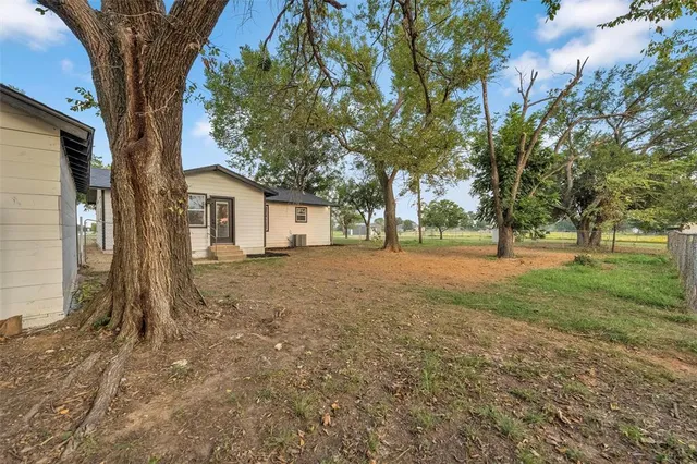 a tree in the middle of a yard
