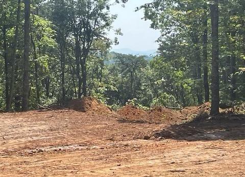 a view of a yard with plants and trees