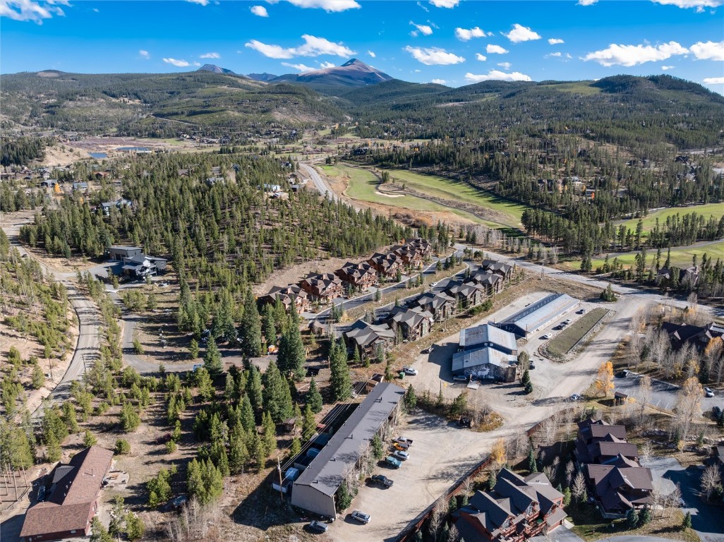 163 High Tor Road, Unit 2 Breckenridge, CO 80424 - Photo 39 of 48