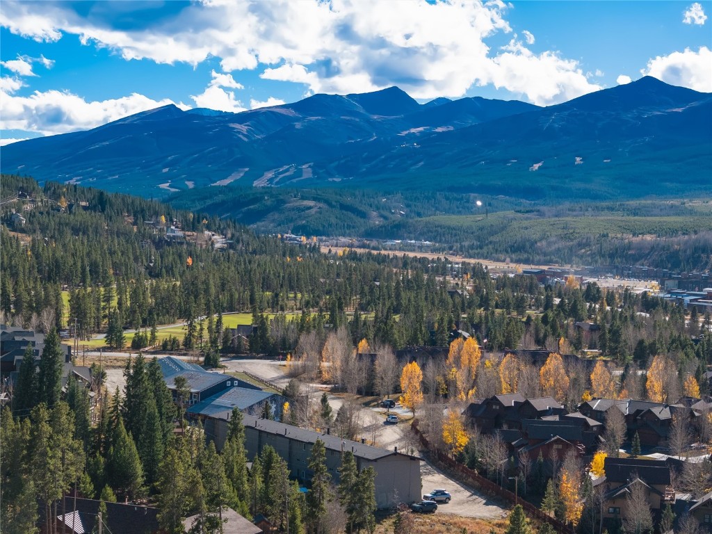 163 High Tor Road, Unit 2 Breckenridge, CO 80424 - Photo 5 of 48 a view of a city with lots of trees and houses