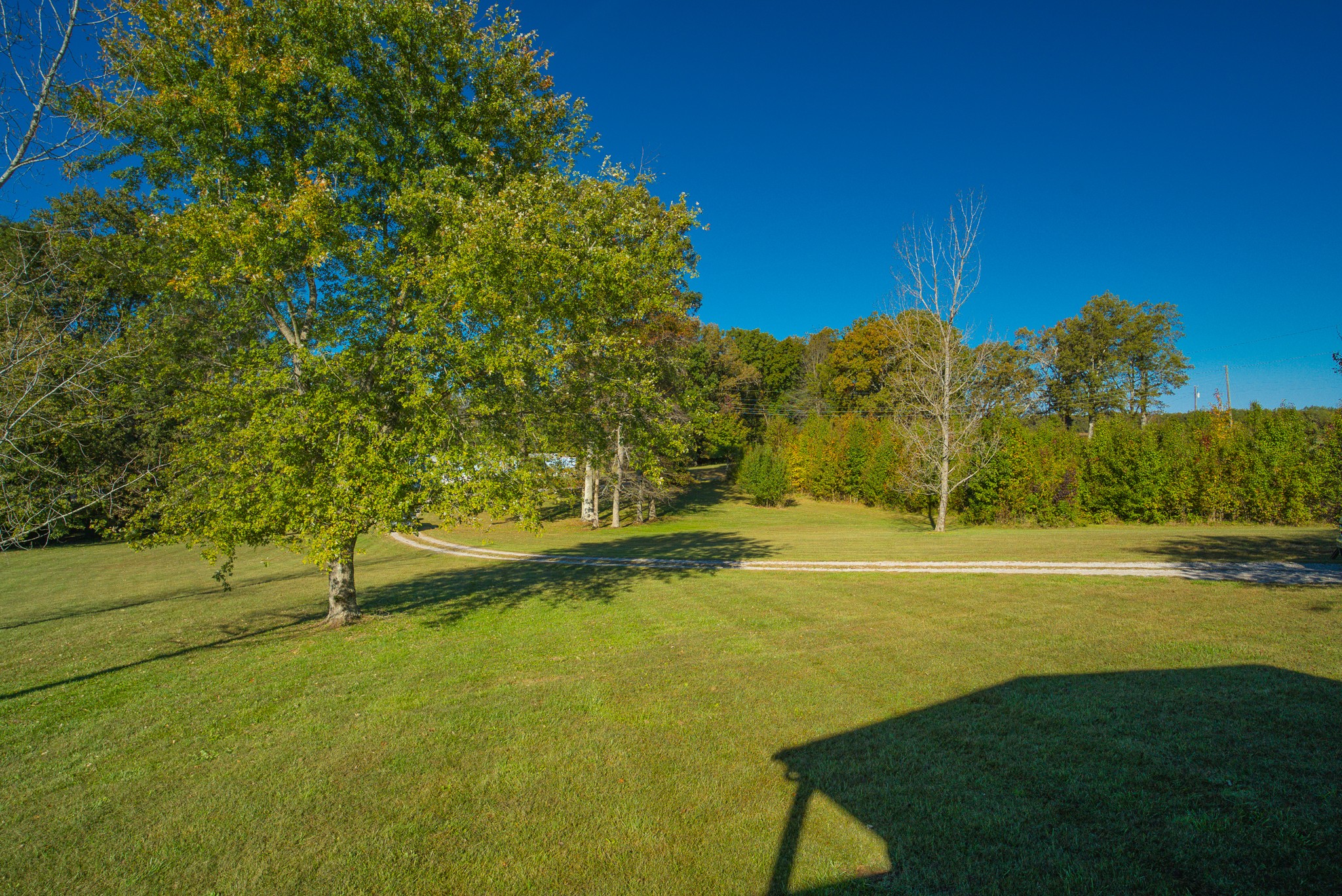 4 Stephenson Road Summertown, TN 38483 - Photo 4 of 32 Gallery Image 4