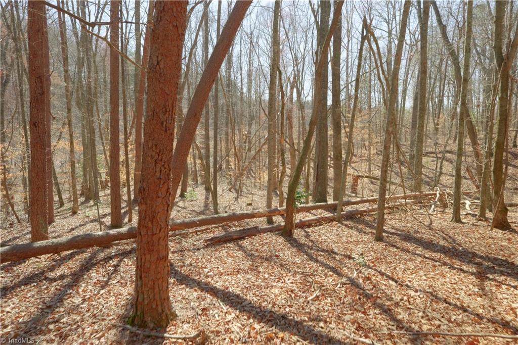 6 Old Mill Road Pinnacle, NC 27043 - Photo 14 of 29