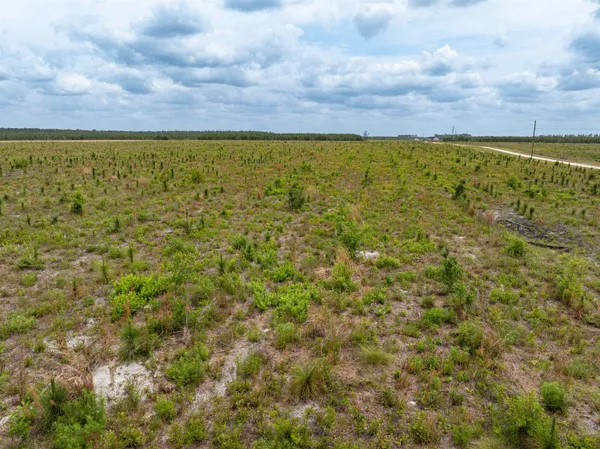 $1,395,000 | 6676 Southeast Co Road 255, Lee, FL 32059