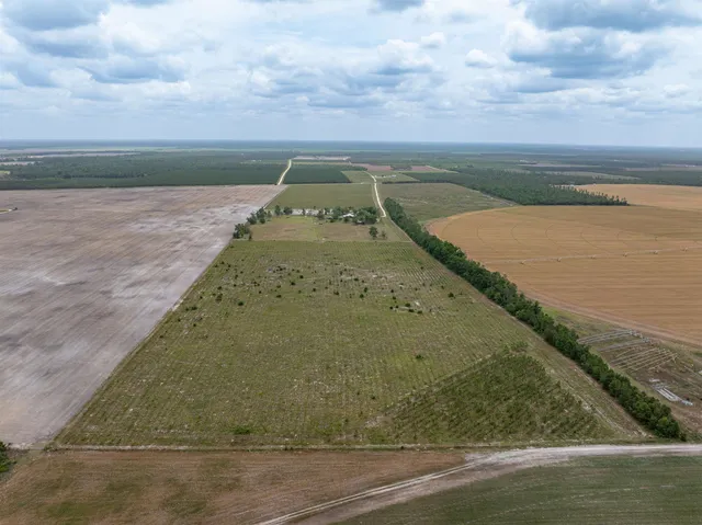 $1,395,000 | 6676 Southeast Co Road 255, Lee, FL 32059