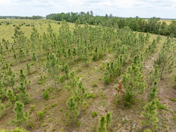 $1,395,000 | 6676 Southeast Co Road 255, Lee, FL 32059