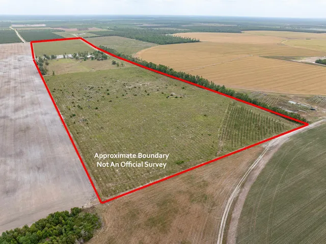 $1,395,000 | 6676 Southeast Co Road 255, Lee, FL 32059