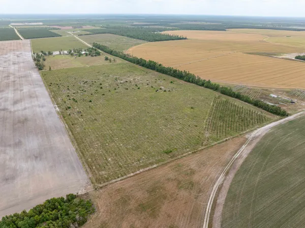 $1,395,000 | 6676 Southeast Co Road 255, Lee, FL 32059