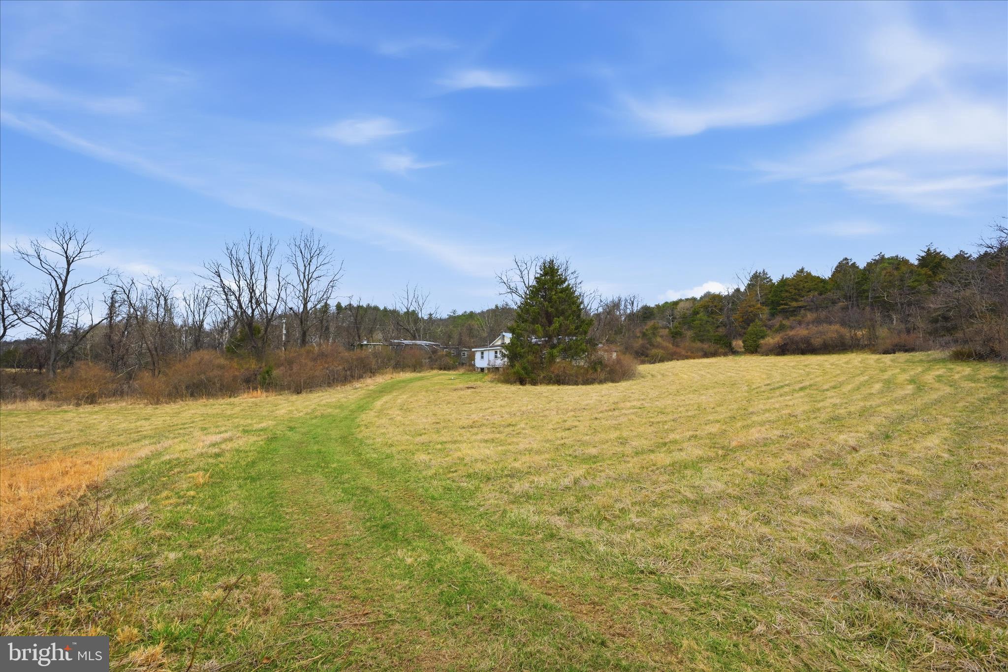 Aa Rogers Augusta, WV 26704 - Photo 12 of 69 Old home site tucked in behind trees