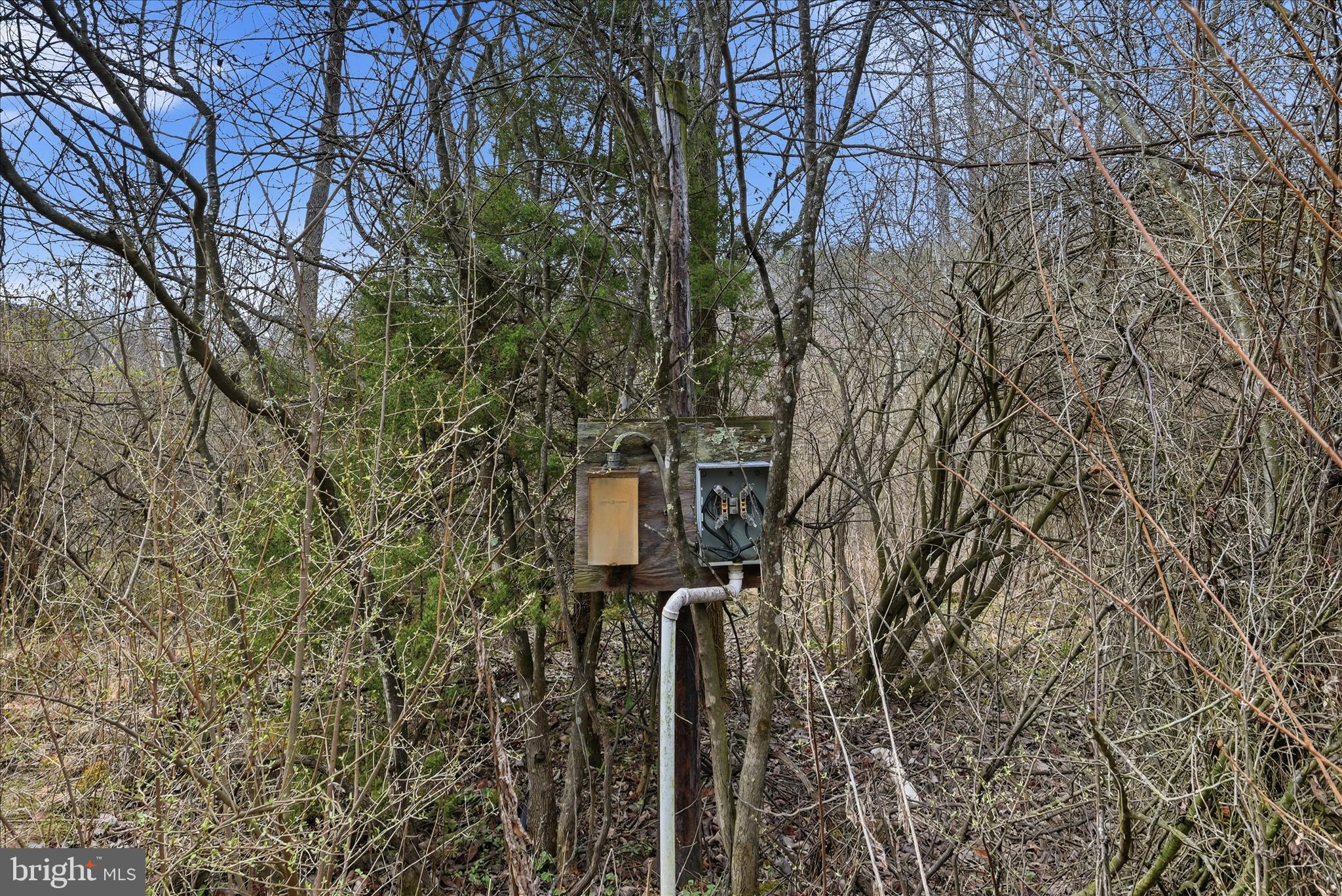 Aa Rogers Augusta, WV 26704 - Photo 19 of 69 power and a third septic site beyond garden