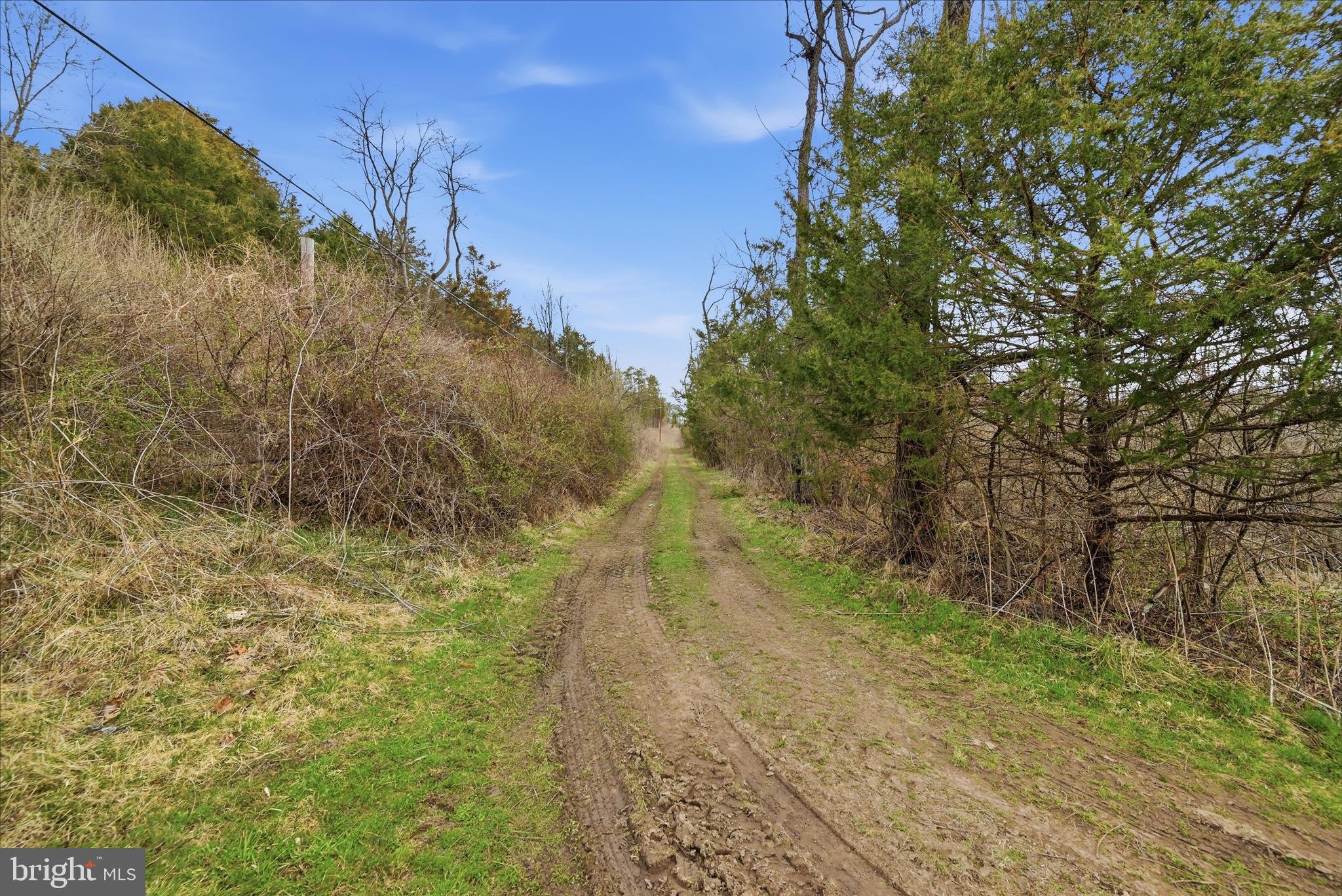 Aa Rogers Augusta, WV 26704 - Photo 22 of 69 Lot Area