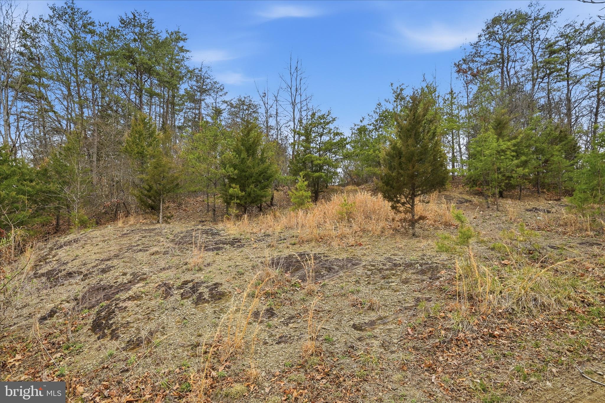 Aa Rogers Augusta, WV 26704 - Photo 27 of 69 Lot Area