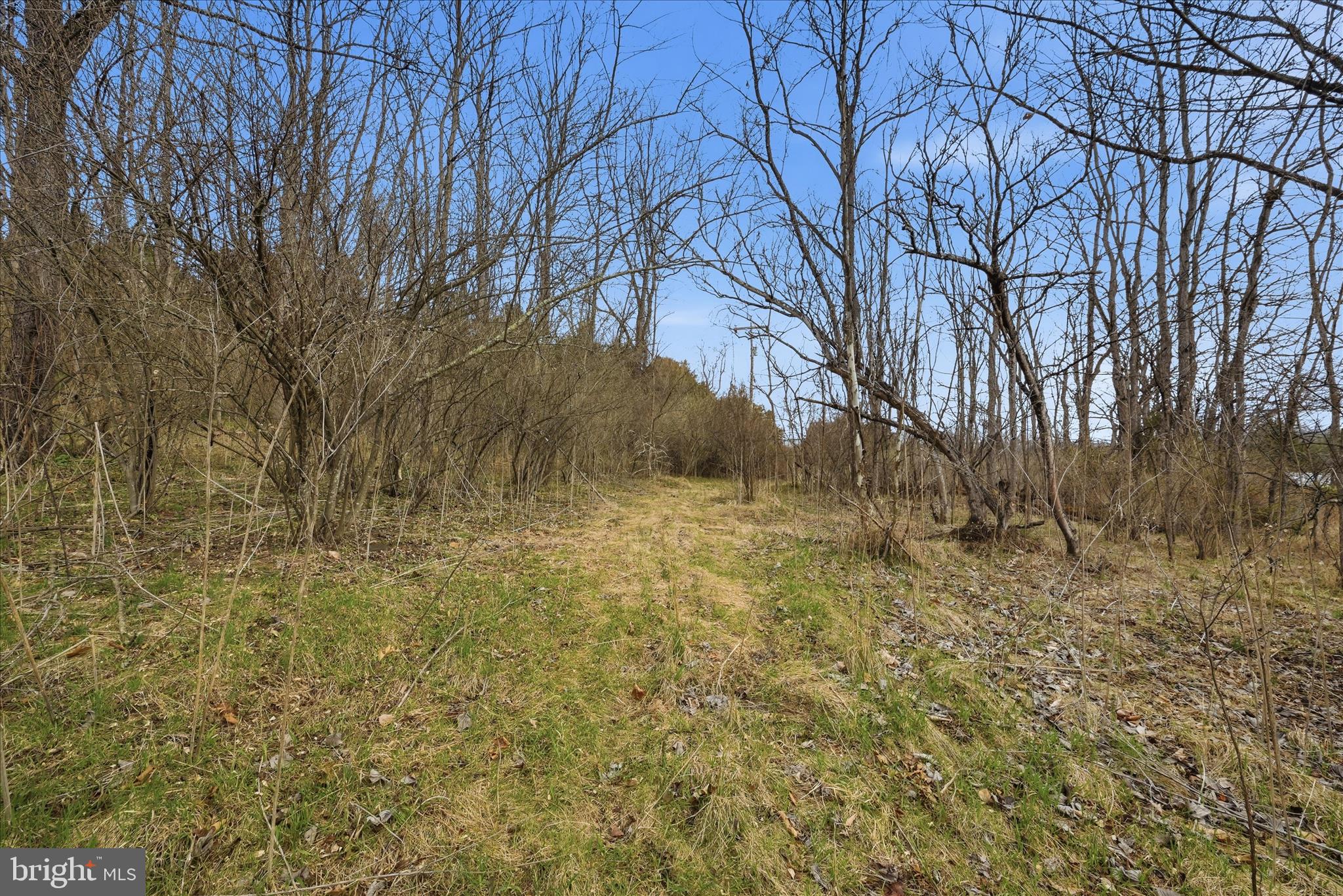 Aa Rogers Augusta, WV 26704 - Photo 30 of 69 Lot Area