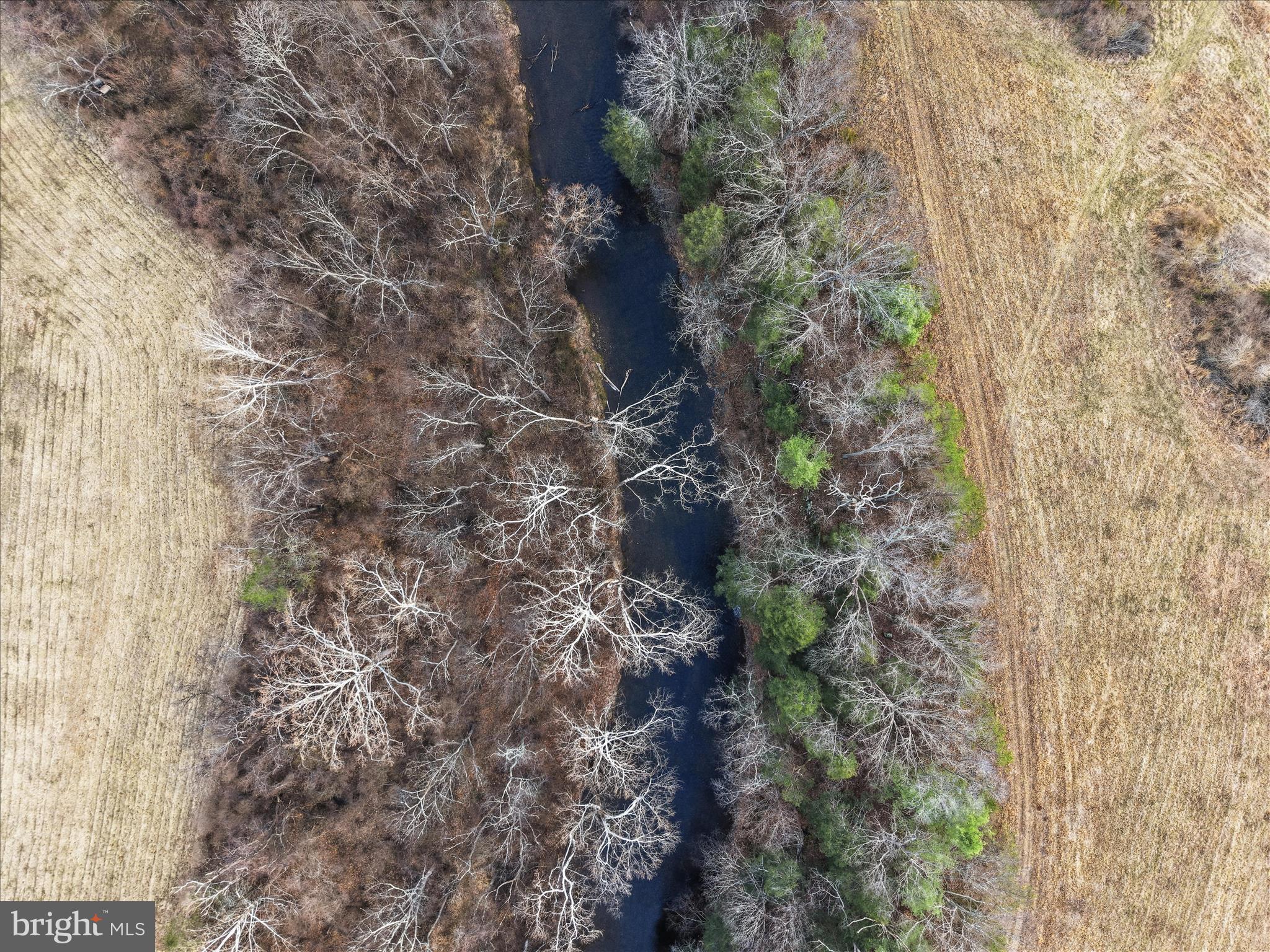 Aa Rogers Augusta, WV 26704 - Photo 33 of 69 Approx 1800' of North River access on EACH side