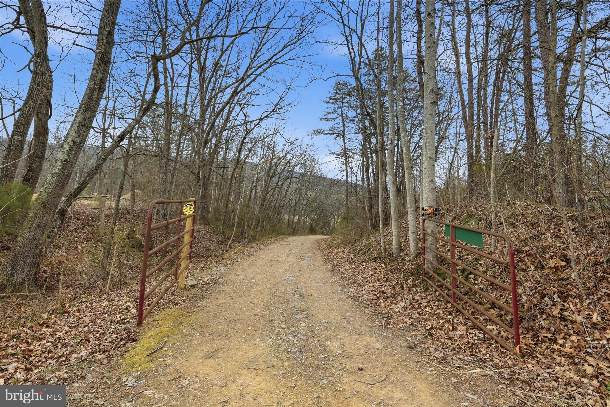 Aa Rogers Augusta, WV 26704 - Photo 4 of 69 Driveway