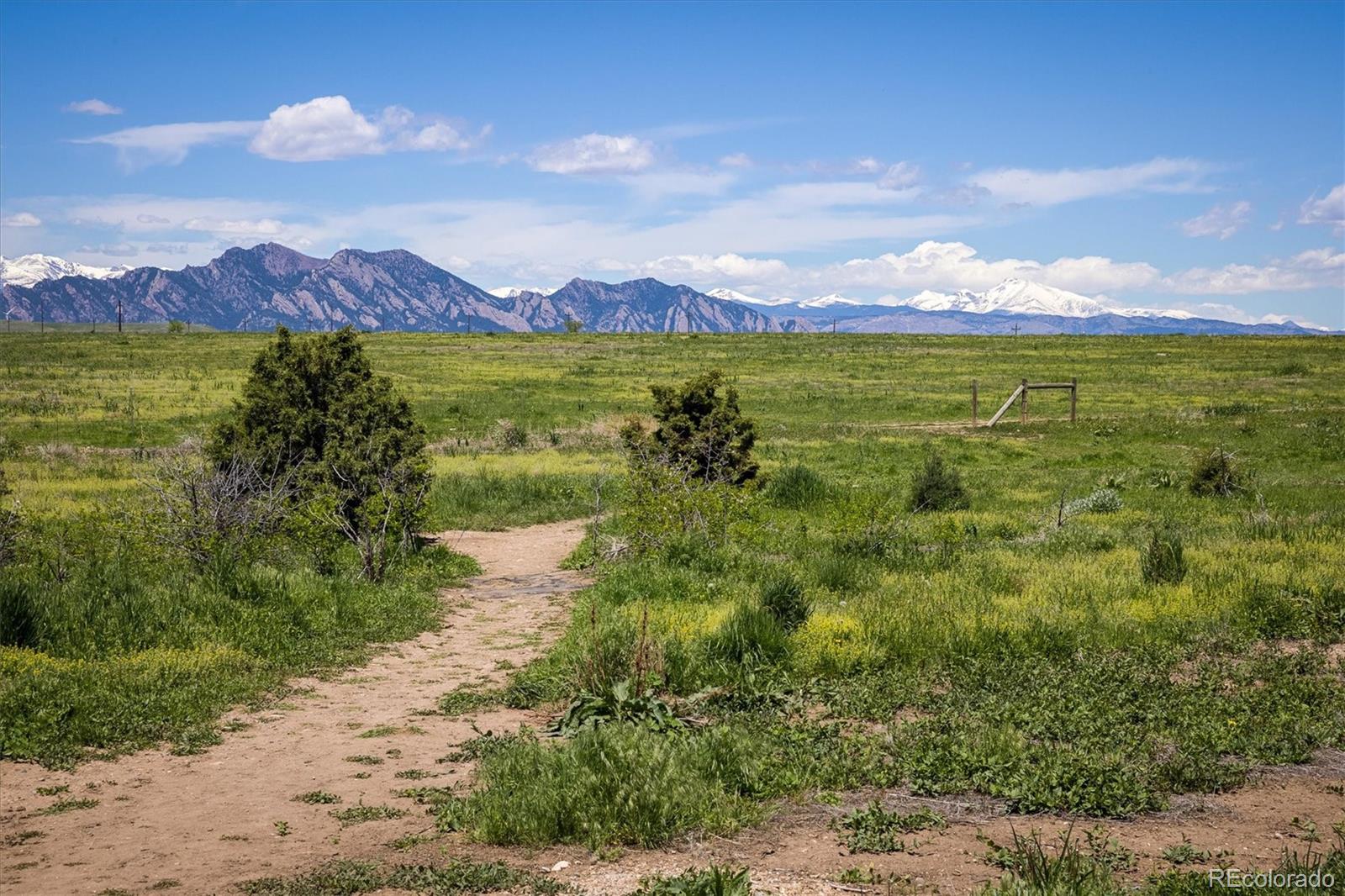 10792 Moore Street Broomfield, CO 80021 - Photo 32 of 35
