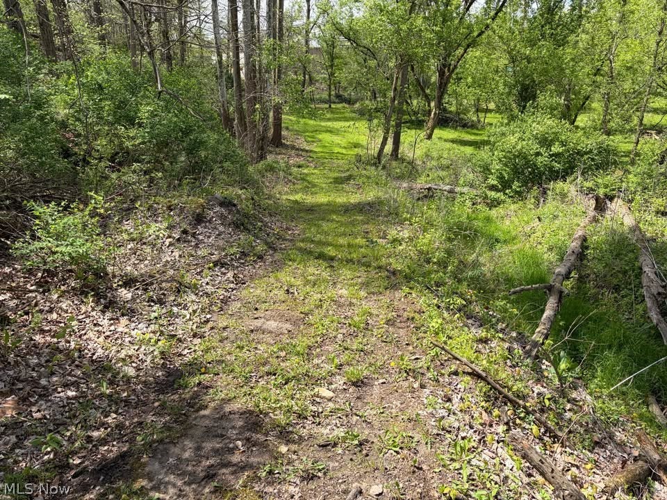 47341 Pitts Road Wellington, OH 44090 - Photo 2 of 40