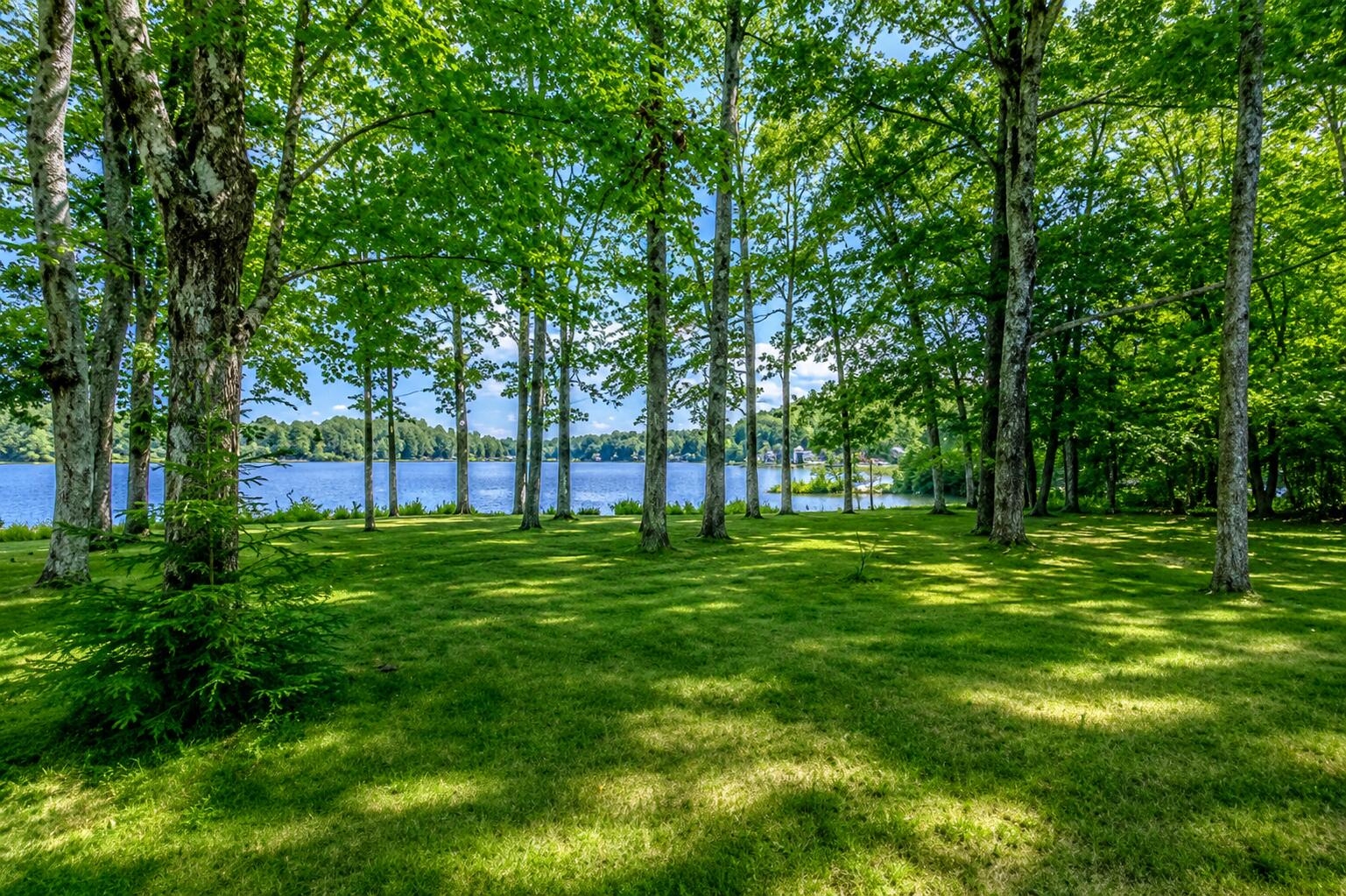 117 Middle Road Acton, ME 04001 - Photo 3 of 23 lawn