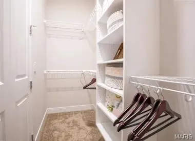 $3,120 | 226 East Lockwood Avenue, Unit 115, St. Louis, MO 63119