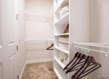 226 East Lockwood Avenue, Unit 115 St. Louis, MO 63119 - Photo 16 of 27