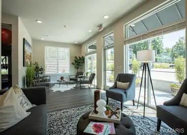 226 East Lockwood Avenue, Unit 115 St. Louis, MO 63119 - Photo 3 of 27