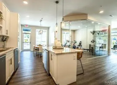 $3,120 | 226 East Lockwood Avenue, Unit 115, St. Louis, MO 63119