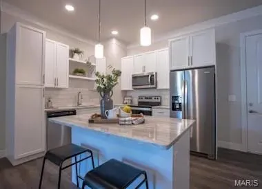 $3,120 | 226 East Lockwood Avenue, Unit 115, St. Louis, MO 63119