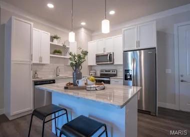 226 East Lockwood Avenue, Unit 115 St. Louis, MO 63119 - Photo 10 of 27