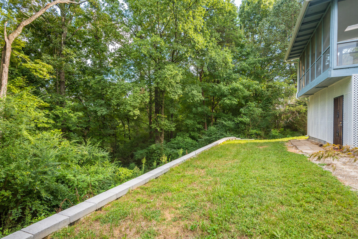 608 Swansons Ridge Road Chattanooga, TN 37421 - Photo 34 of 36 Back Yard