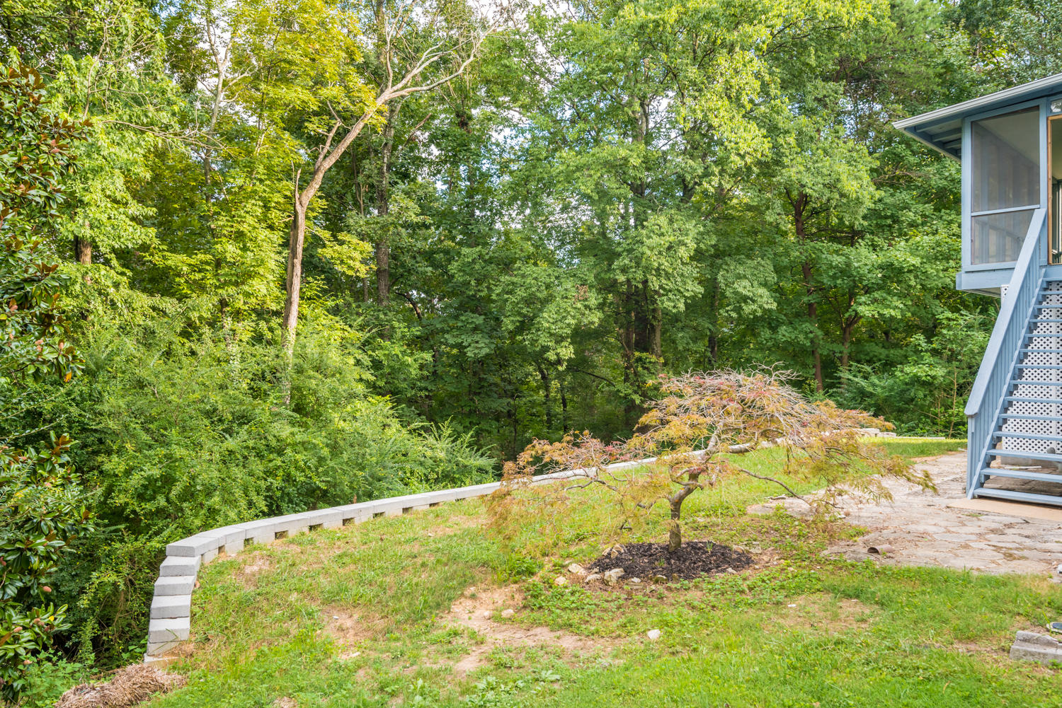 608 Swansons Ridge Road Chattanooga, TN 37421 - Photo 35 of 36 Side and Back Yard