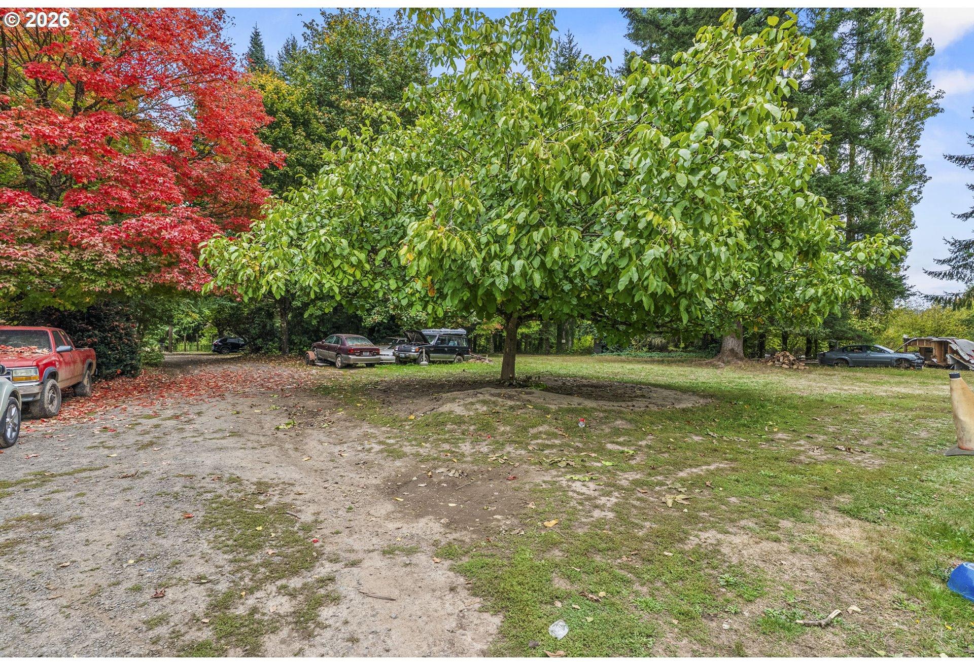 69865 Walker Road Rainier, OR 97048 - Photo 15 of 36 Gallery Image 15