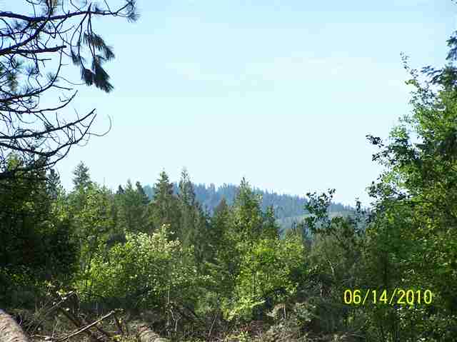 22616 Creeger Lane Mead, WA 99021 - Photo 8 of 8