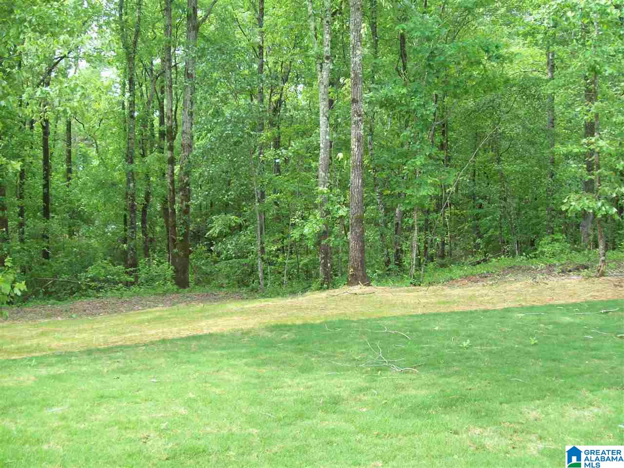 109 Highland Ridge Drive Chelsea, AL 35043 - Photo 34 of 37