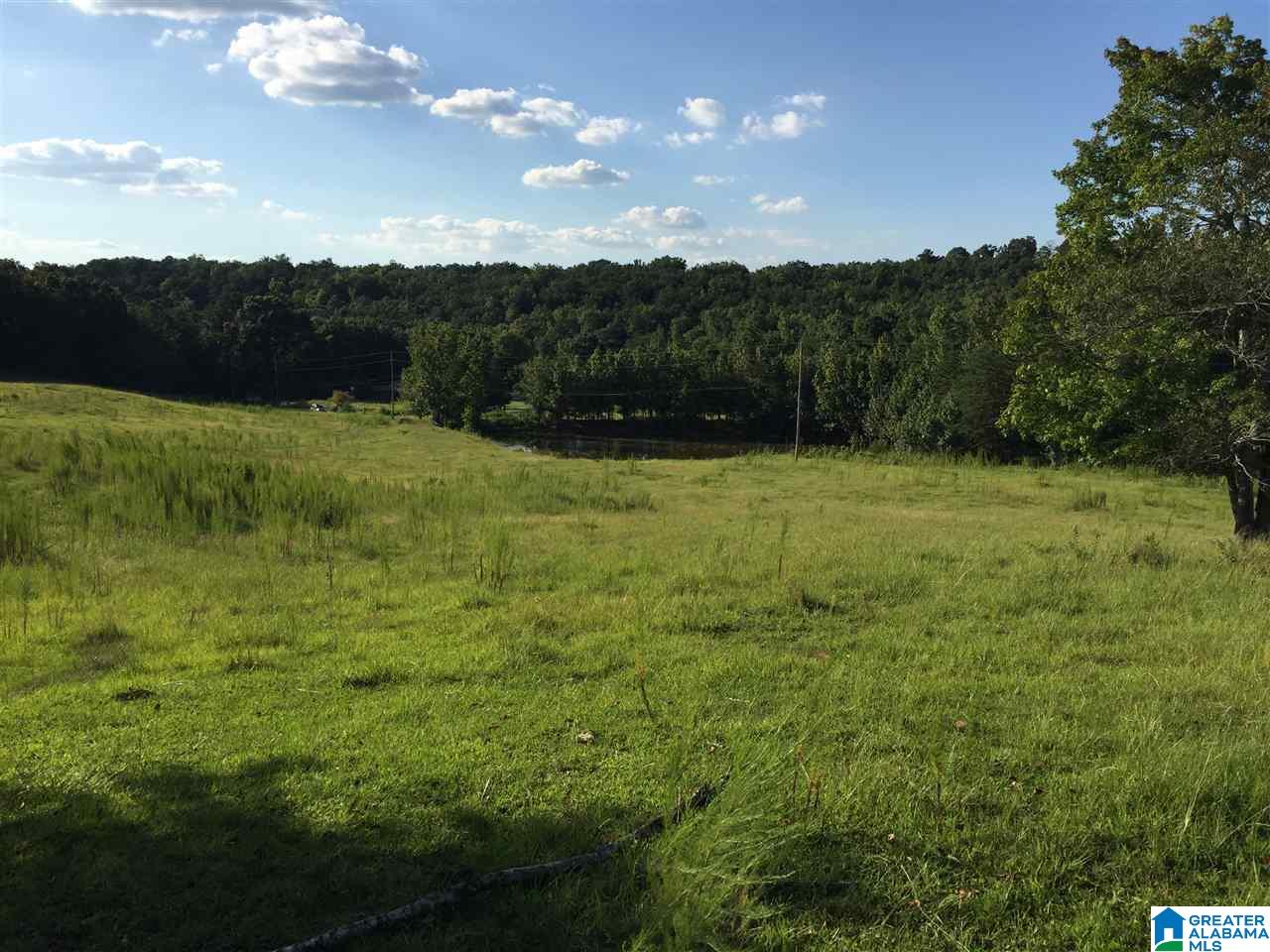 0 Valley Creek Road Piedmont, AL 36272 - Photo 14 of 28