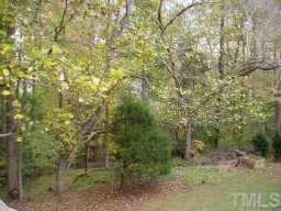 1712 Park Ridge Way Raleigh, NC 27614 - Photo 4 of 4 a view of a forest with a tree