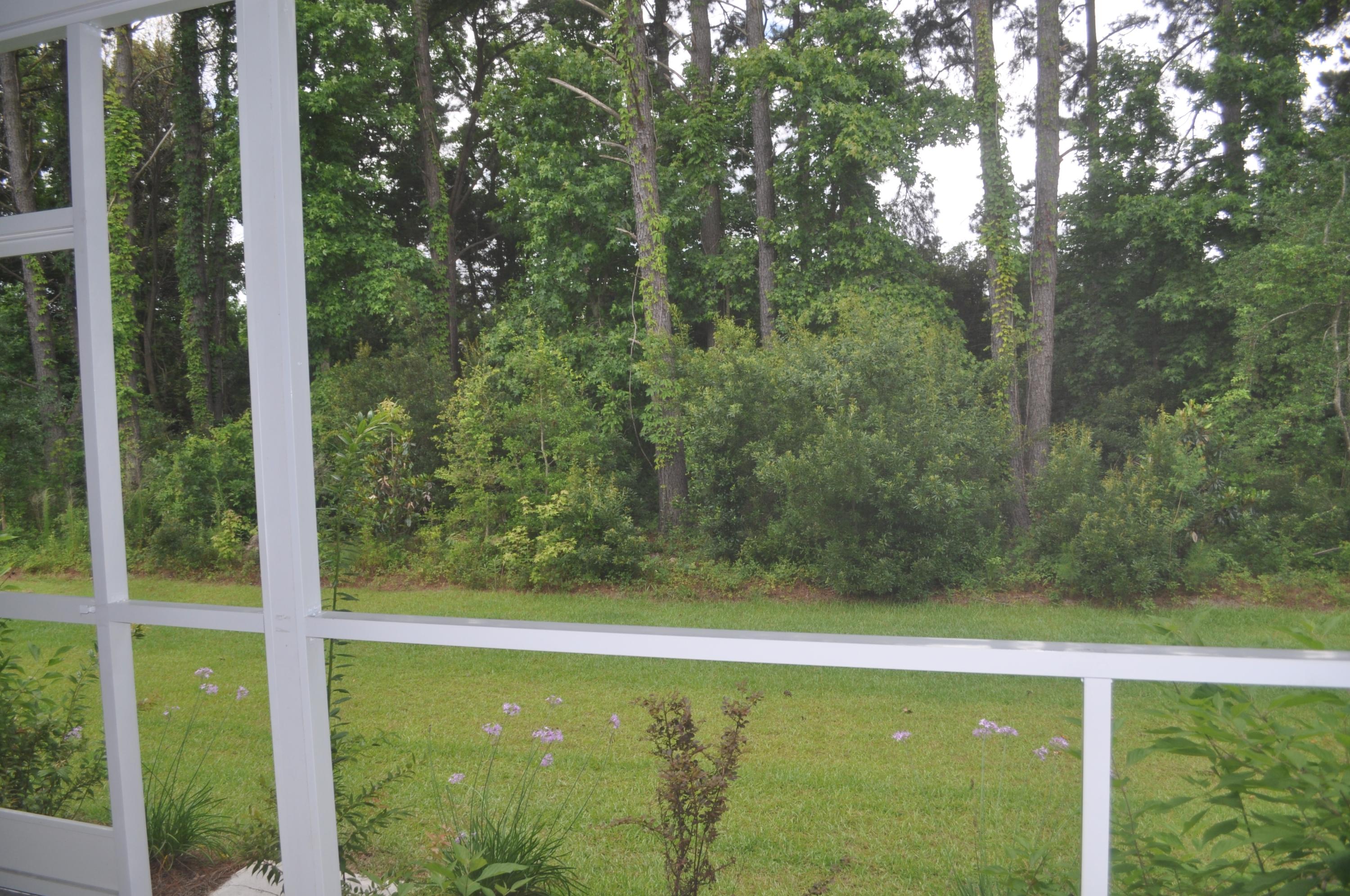 413 Turnstone Street Mount Pleasant, SC 29464 - Photo 33 of 60 DSC_6234