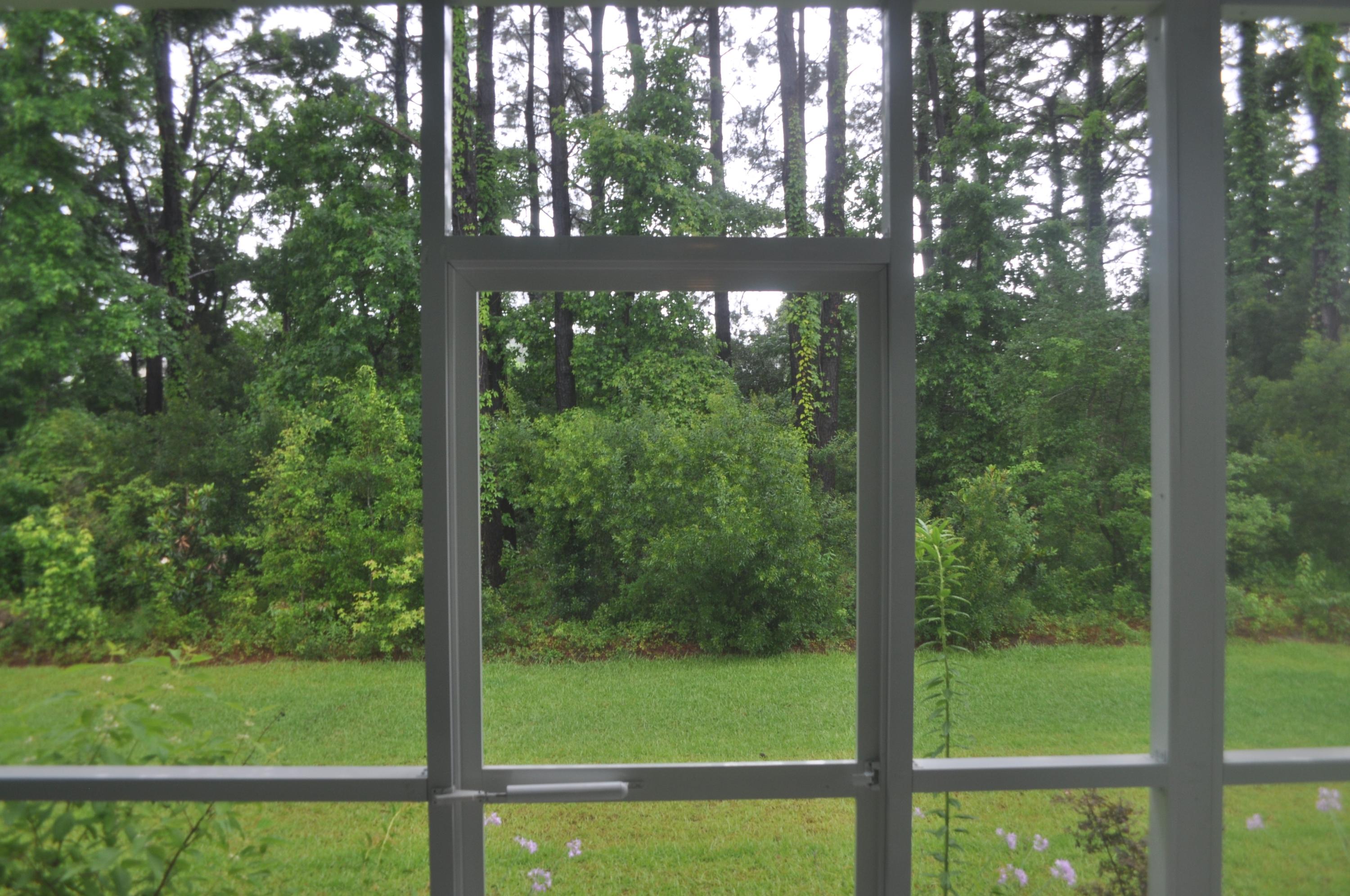 413 Turnstone Street Mount Pleasant, SC 29464 - Photo 35 of 60 DSC_6275