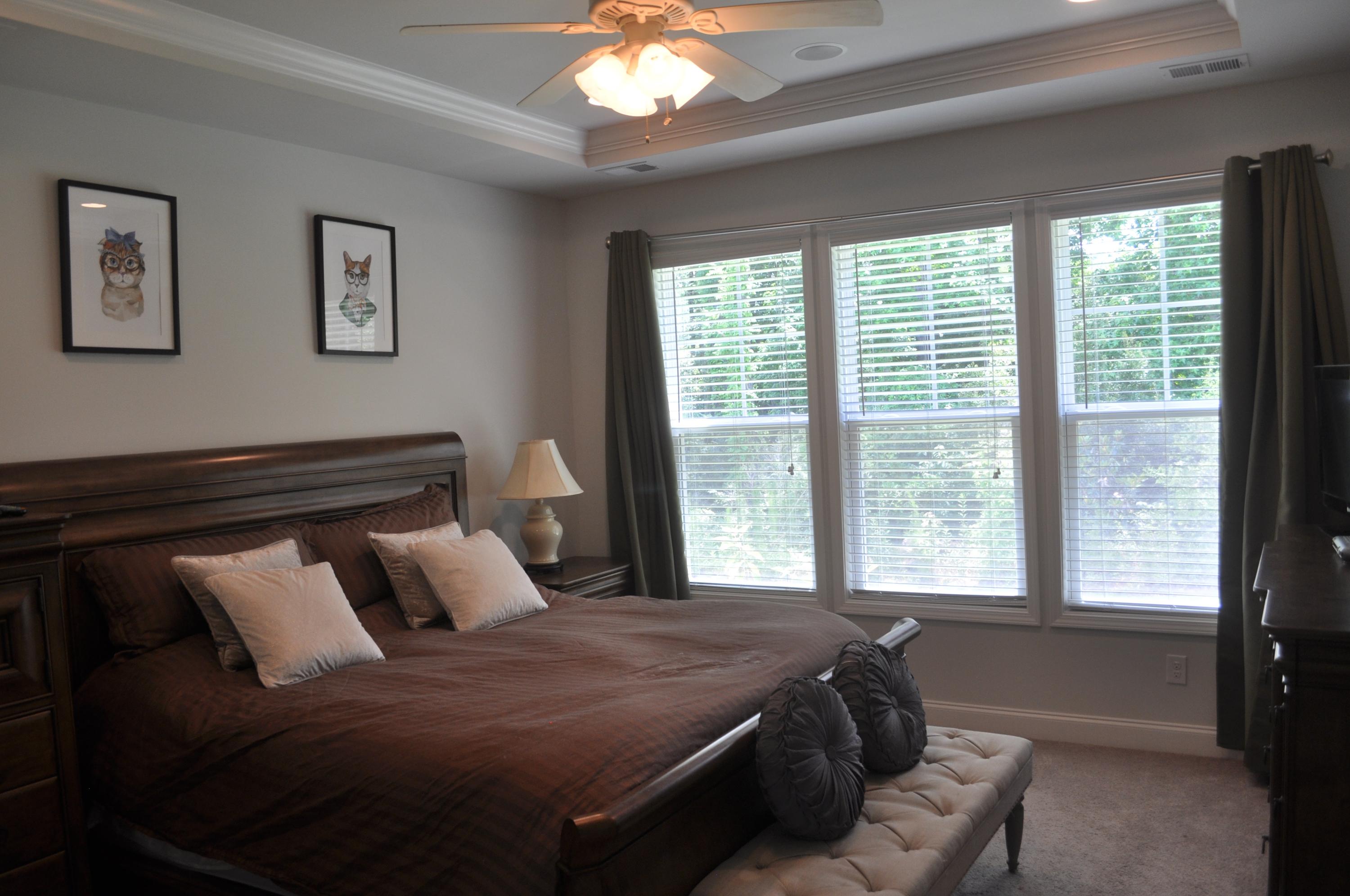 413 Turnstone Street Mount Pleasant, SC 29464 - Photo 40 of 60 DSC_6202