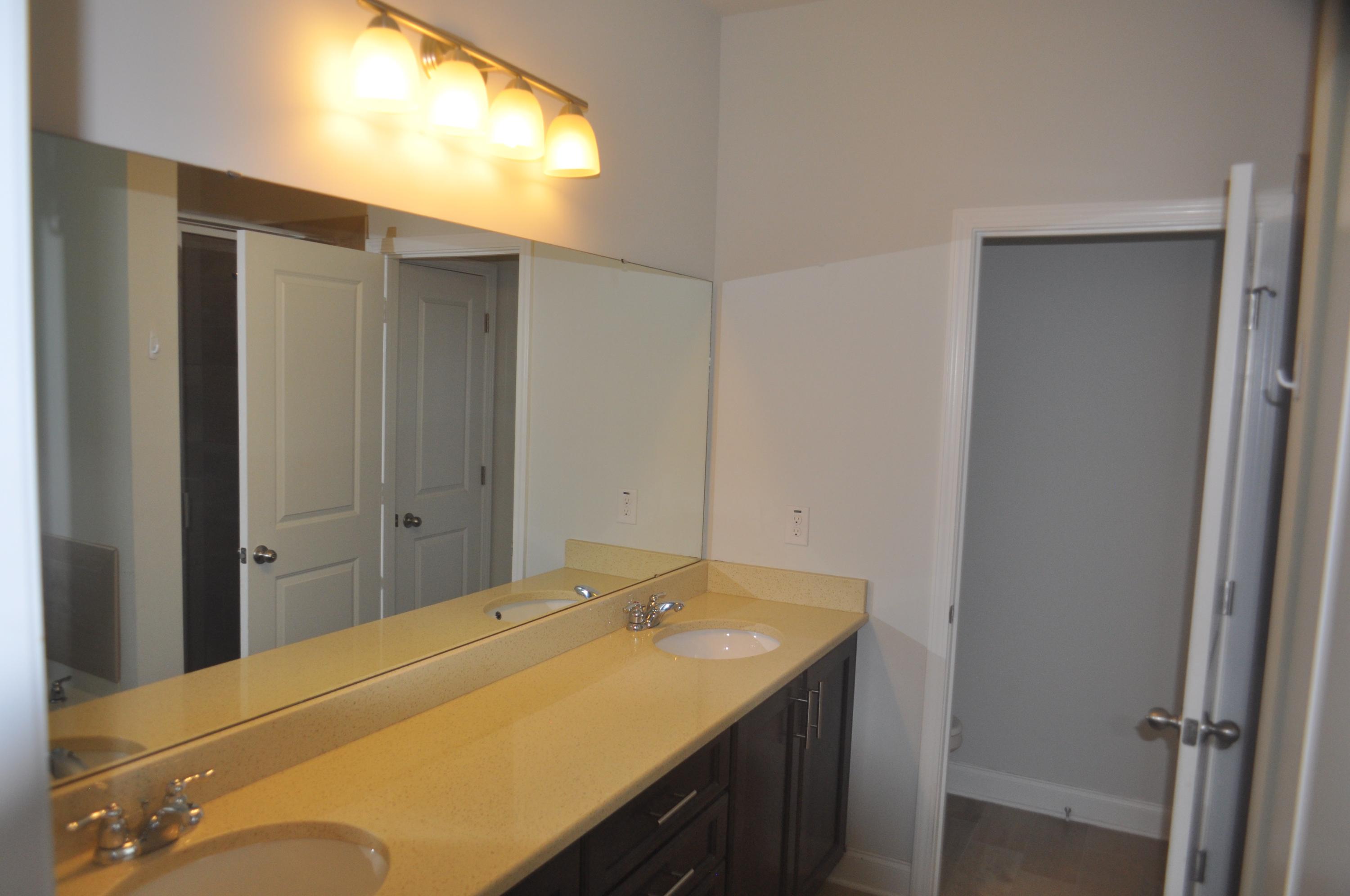 413 Turnstone Street Mount Pleasant, SC 29464 - Photo 43 of 60 DSC_6262