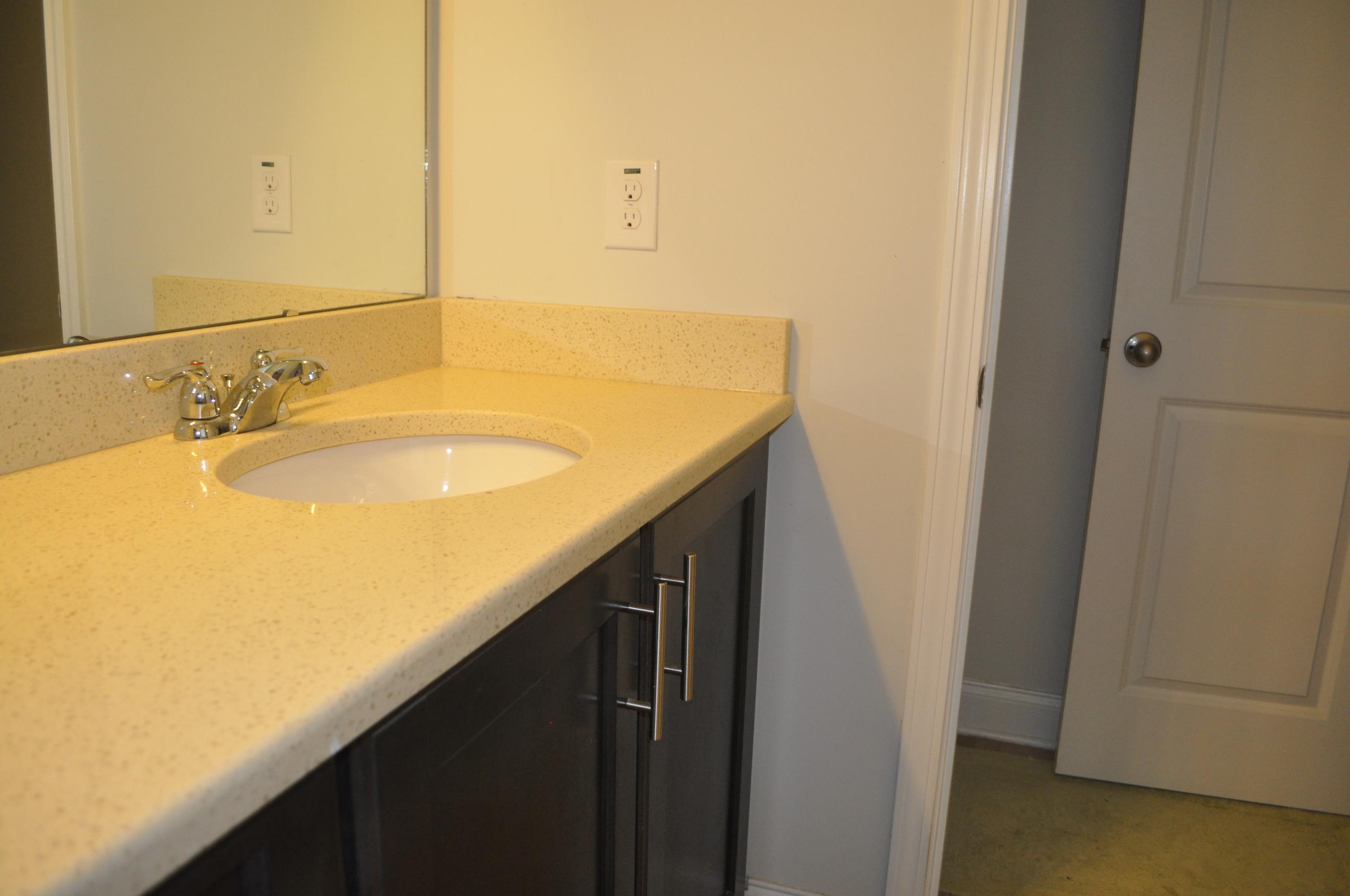 413 Turnstone Street Mount Pleasant, SC 29464 - Photo 44 of 60 DSC_6243