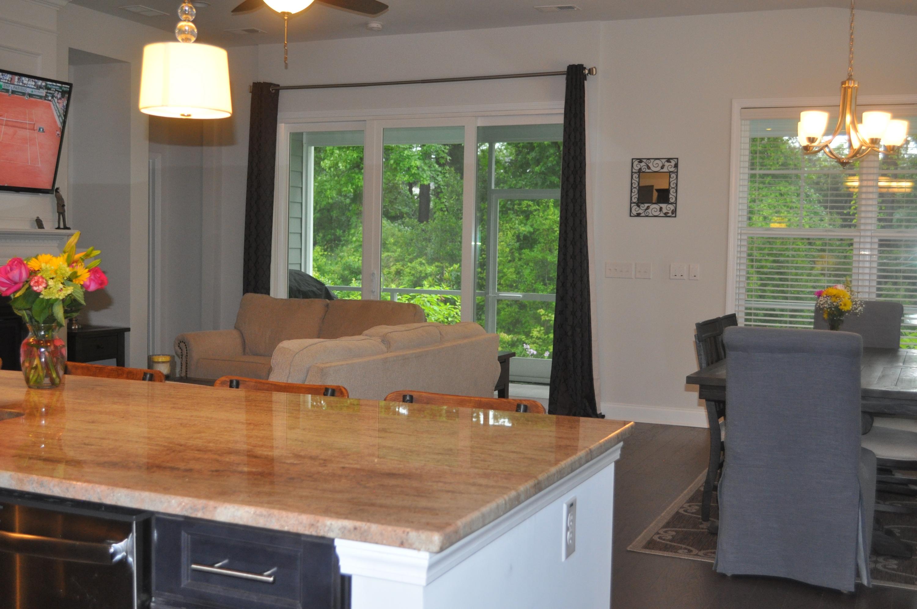 413 Turnstone Street Mount Pleasant, SC 29464 - Photo 51 of 60 DSC_6248