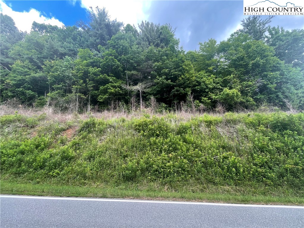 0 Buckeye Hollow Road Newland, NC 28657 - Photo 1 of 8 Gallery Image 1