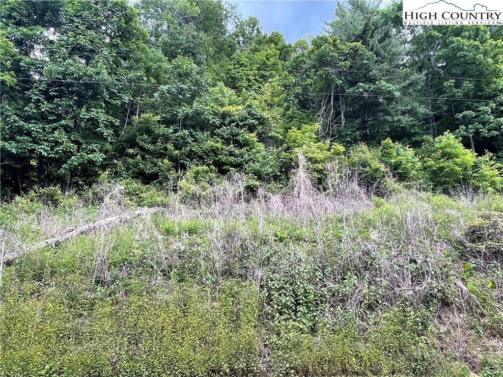 0 Buckeye Hollow Road Newland, NC 28657 - Photo 2 of 8 Gallery Image 2