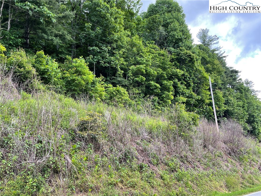 0 Buckeye Hollow Road Newland, NC 28657 - Photo 3 of 8 Gallery Image 3