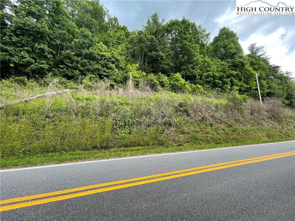 0 Buckeye Hollow Road Newland, NC 28657 - Photo 4 of 8 Gallery Image 4