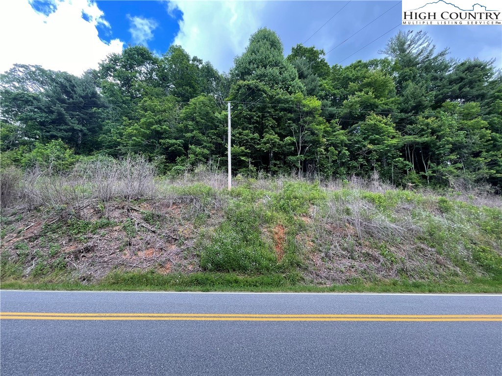 0 Buckeye Hollow Road Newland, NC 28657 - Photo 6 of 8 Gallery Image 6
