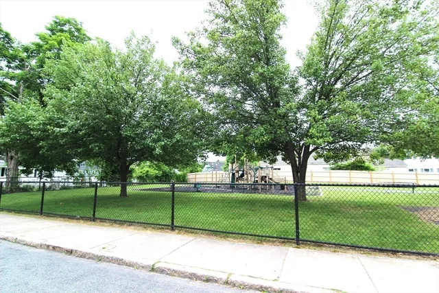 a view of a park with tree s